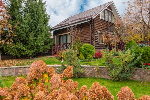 Opter pour la construction de maison en bois : pour quelles raisons ?